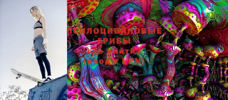 Псилоцибиновые грибы Psilocybine cubensis  Верхняя Салда 